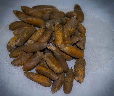 Chilgoza (Pinenuts) - Testurion